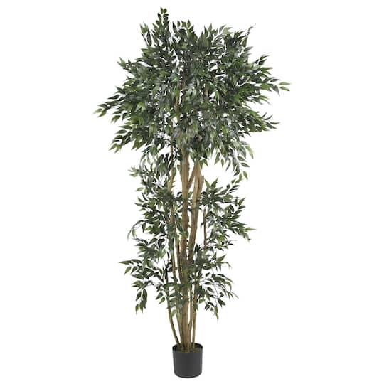 6ft. Potted Green Ash Tree